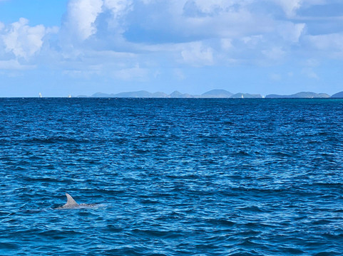 Local Mocean Charters-圣 托马斯必去景点