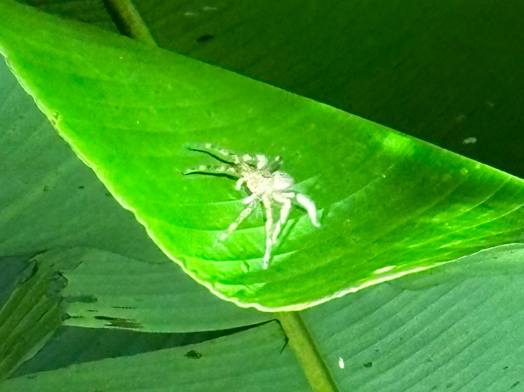 Unlock Nature-帕拉马里博必去景点