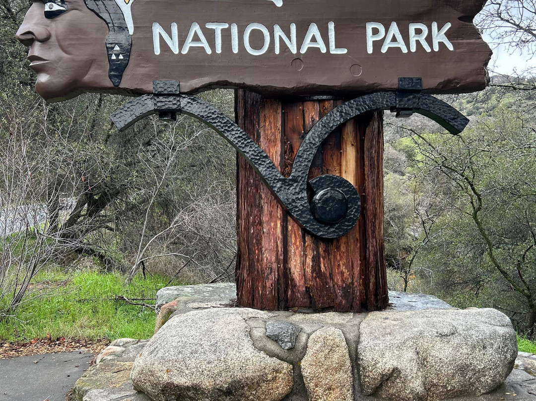 Sequoia National Park-维塞利亚必去景点