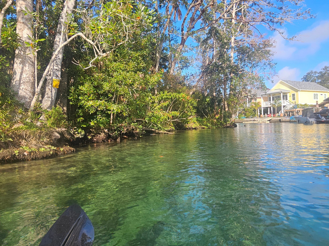 Weeki Wachee Kayaking-Weeki Wachee必去景点