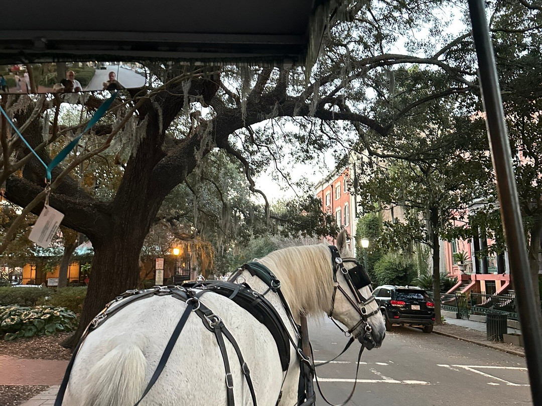 Savannah Carriage Tours-萨凡纳必去景点