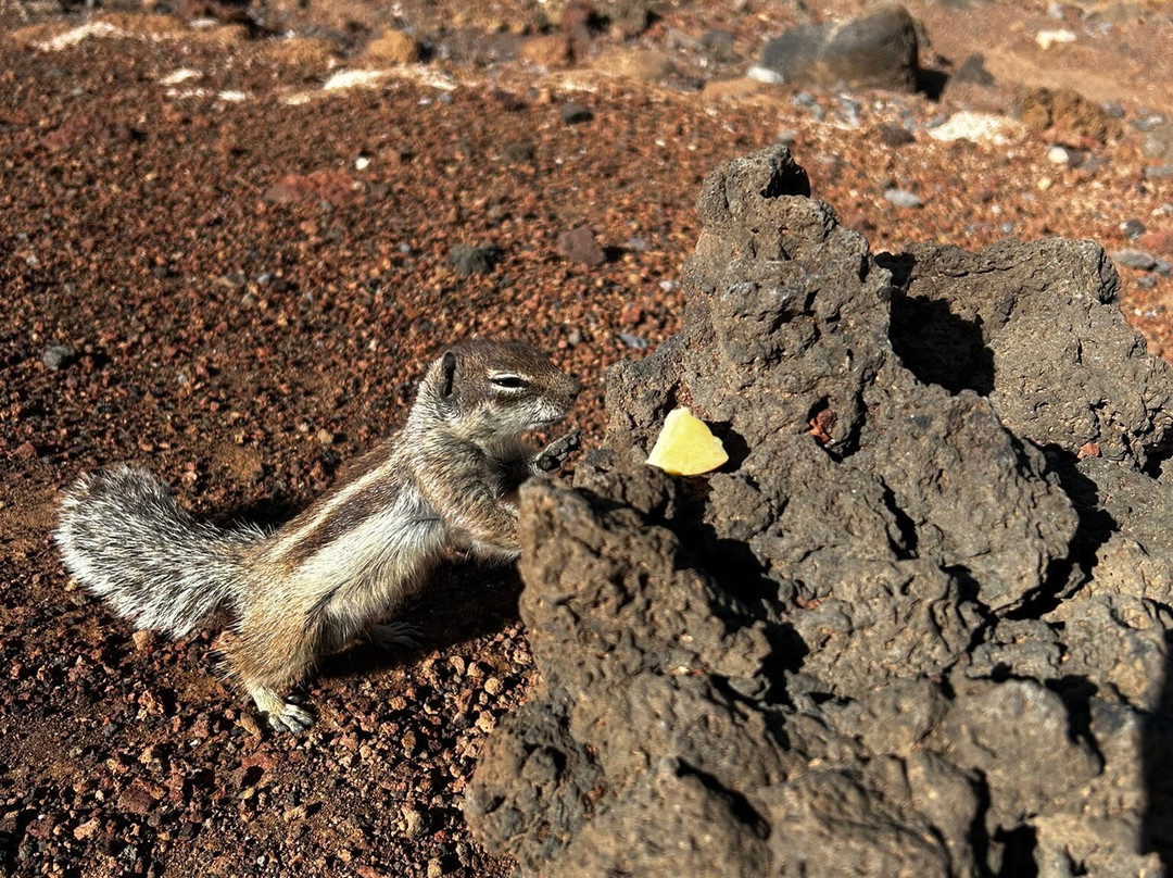Calderon Hondo-拉哈雷斯必去景点