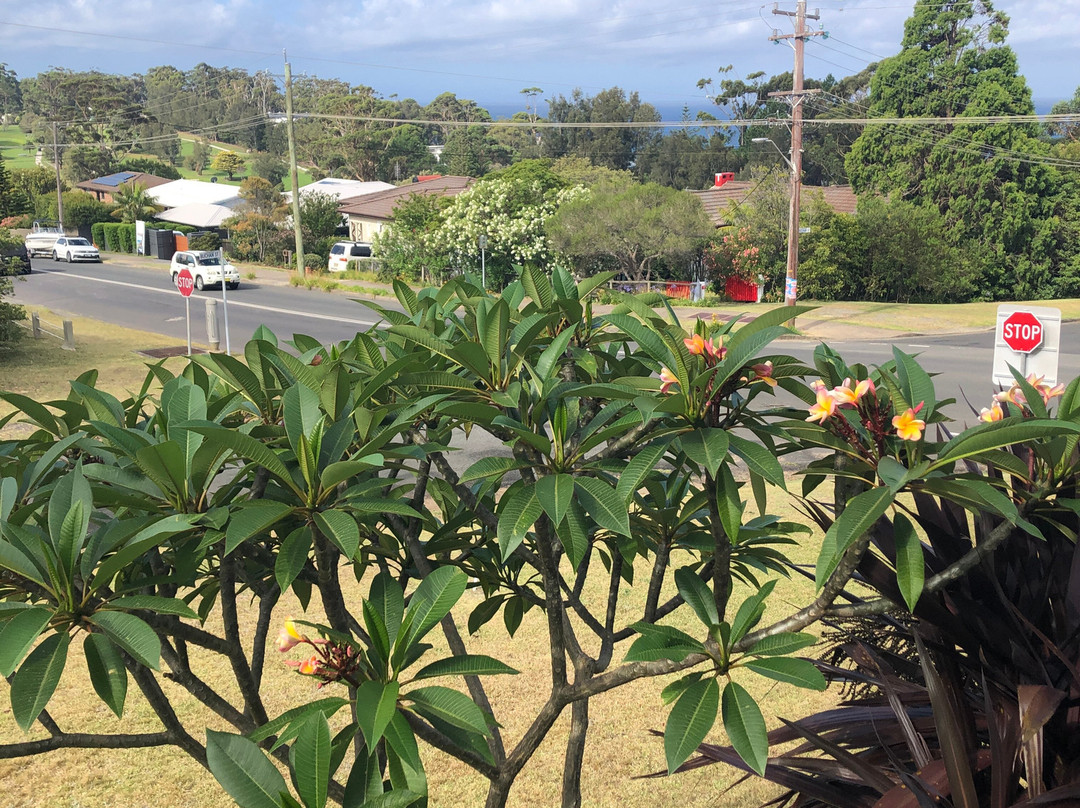 Mollymook Motel主图