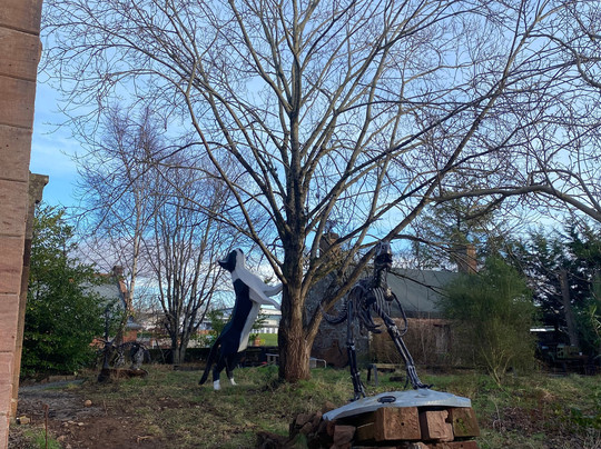 Giant Fork-Thornhill必去景点