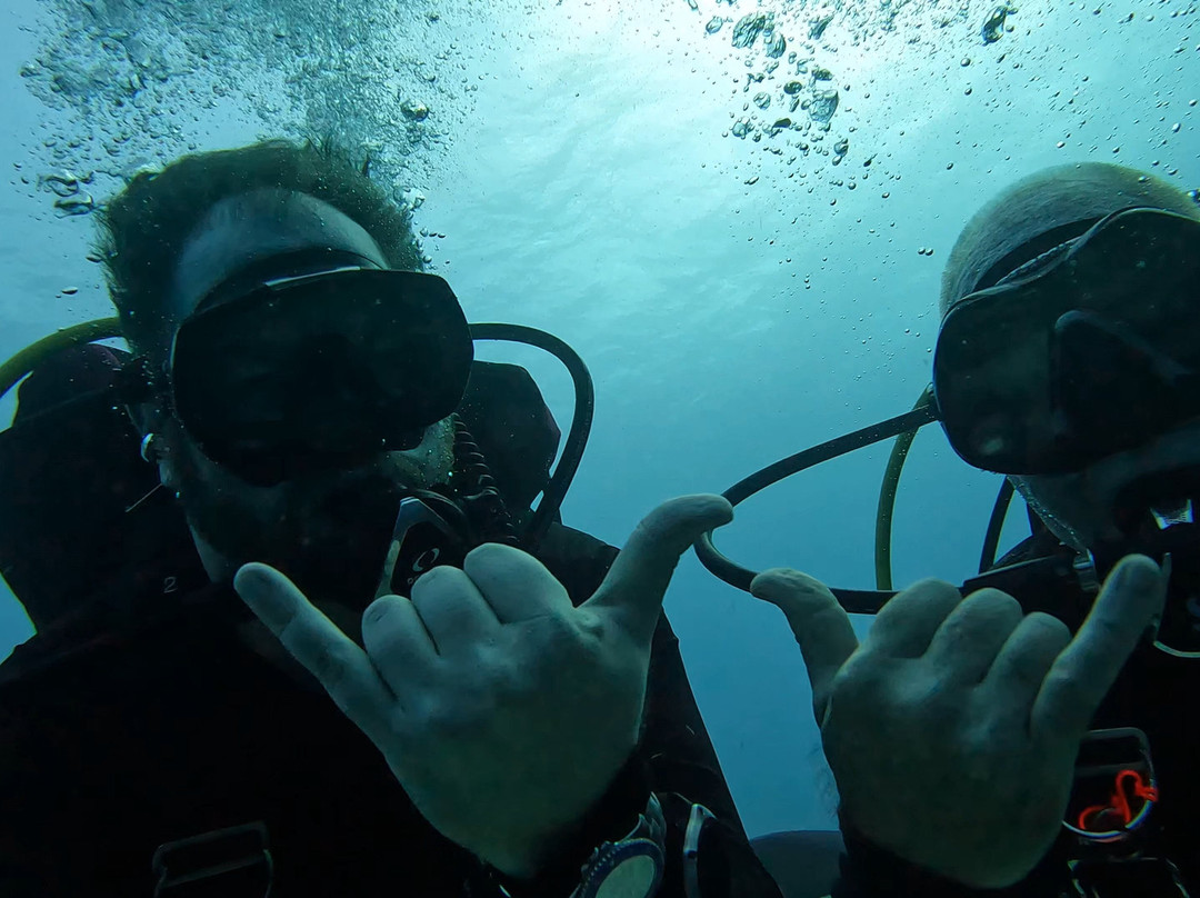 Blue Water Divers-Cockburn Town必去景点
