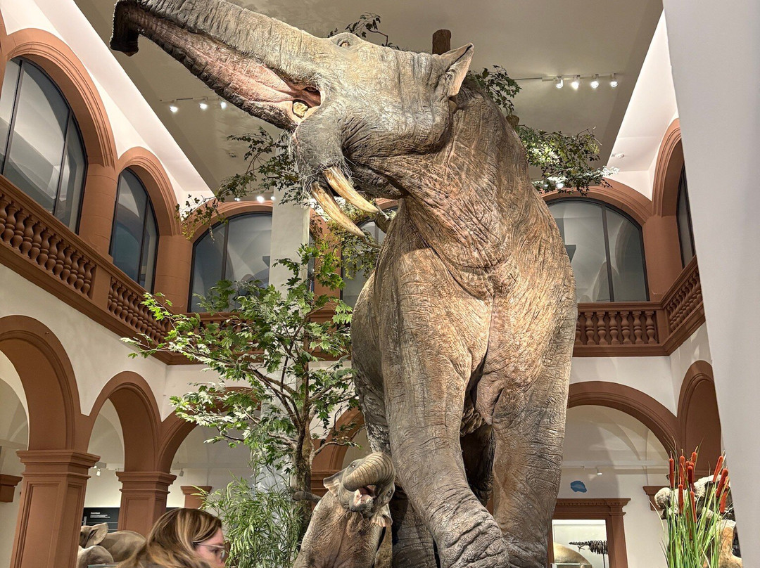 Gutenberg Museum-美因茨必去景点