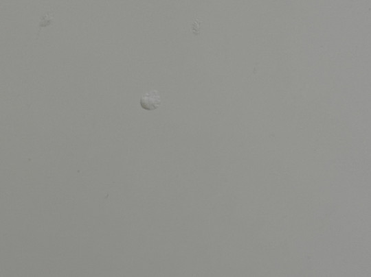 Comfort Inn & Suites Dover-Portsmouth主图