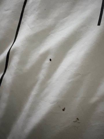 La Quinta Inn & Suites by Wyndham Bridgeport主图