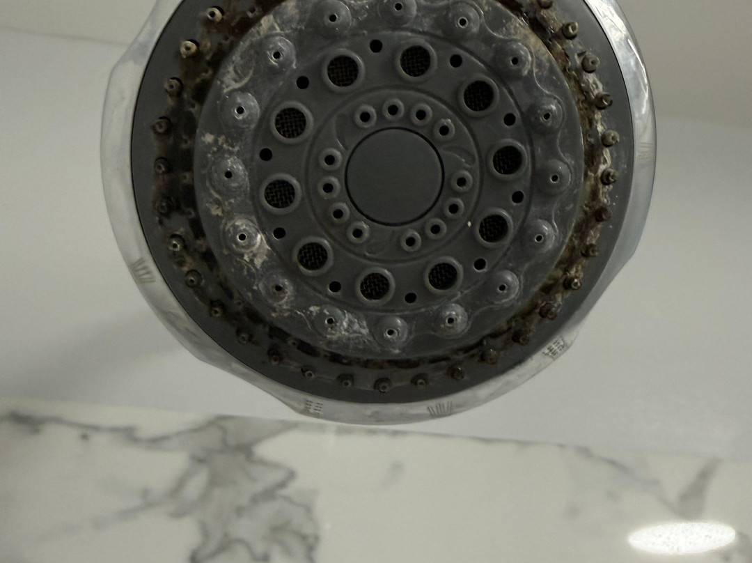 Quality Inn - Greeneville主图