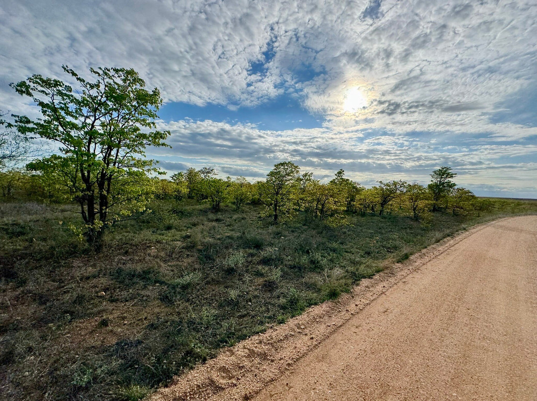 Kedibone Safaris-伐拉博瓦必去景点
