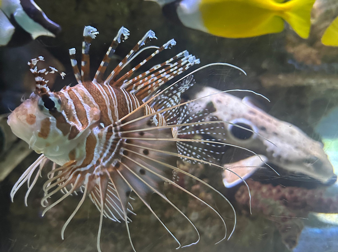 Hastings Aquarium-海斯廷斯必去景点