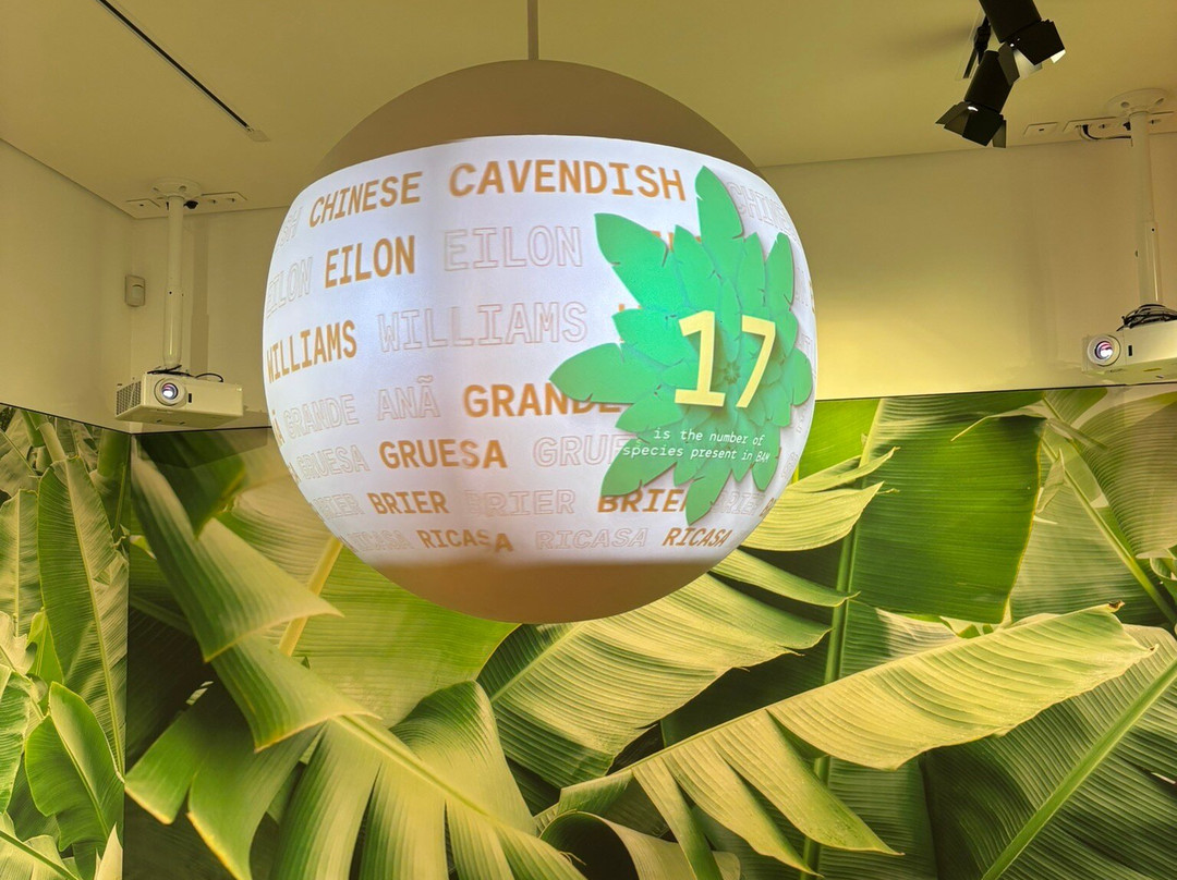 BAM - Centro Da Banana Da Madeira-Ponta Do Sol必去景点