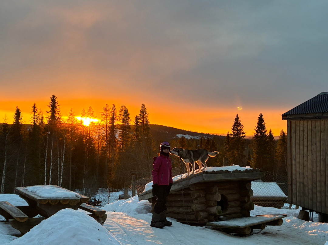 Wilderness Latitude-Vilhelmina必去景点