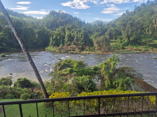 Kithulgala Rest House主图