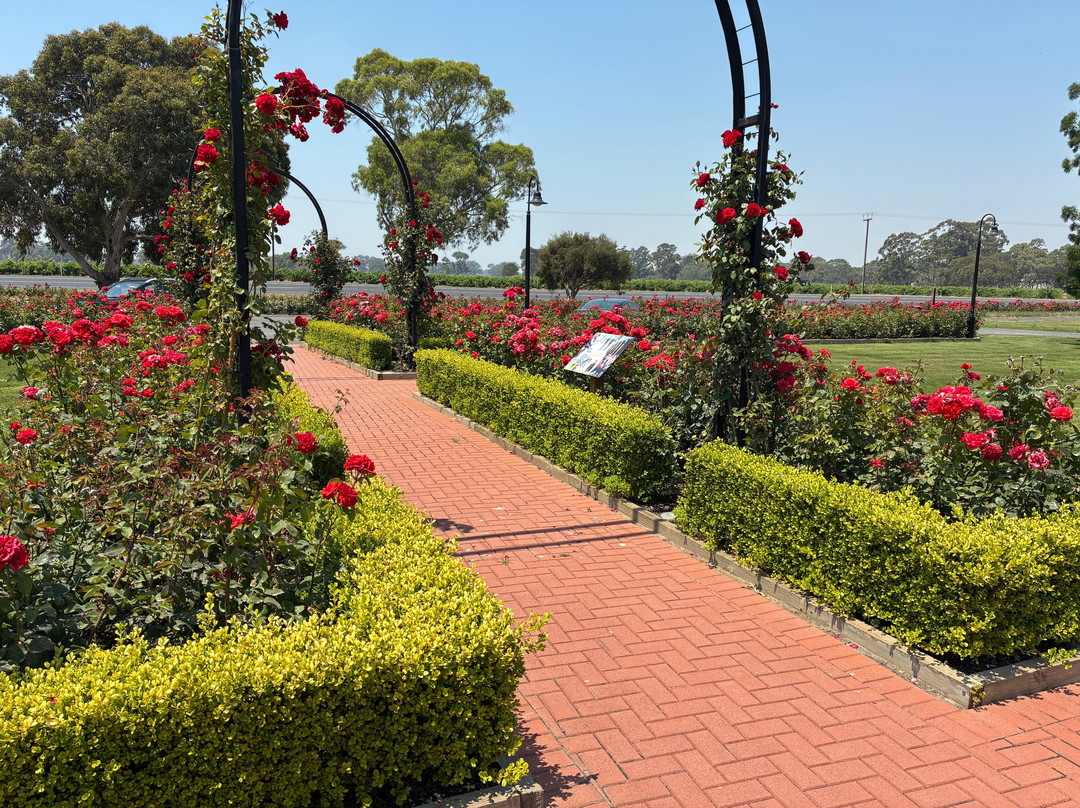 Leconfield Coonawarra-Coonawarra必去景点