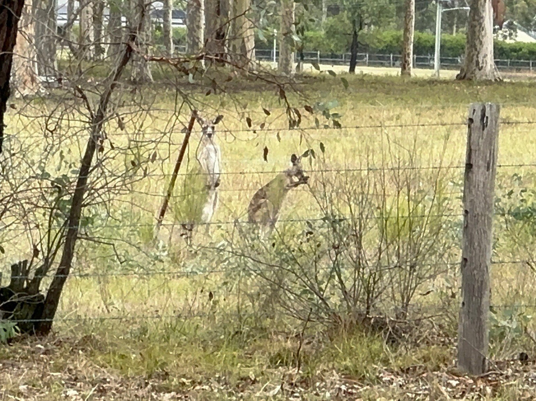 Ernest Hill Wines-Nulkaba必去景点