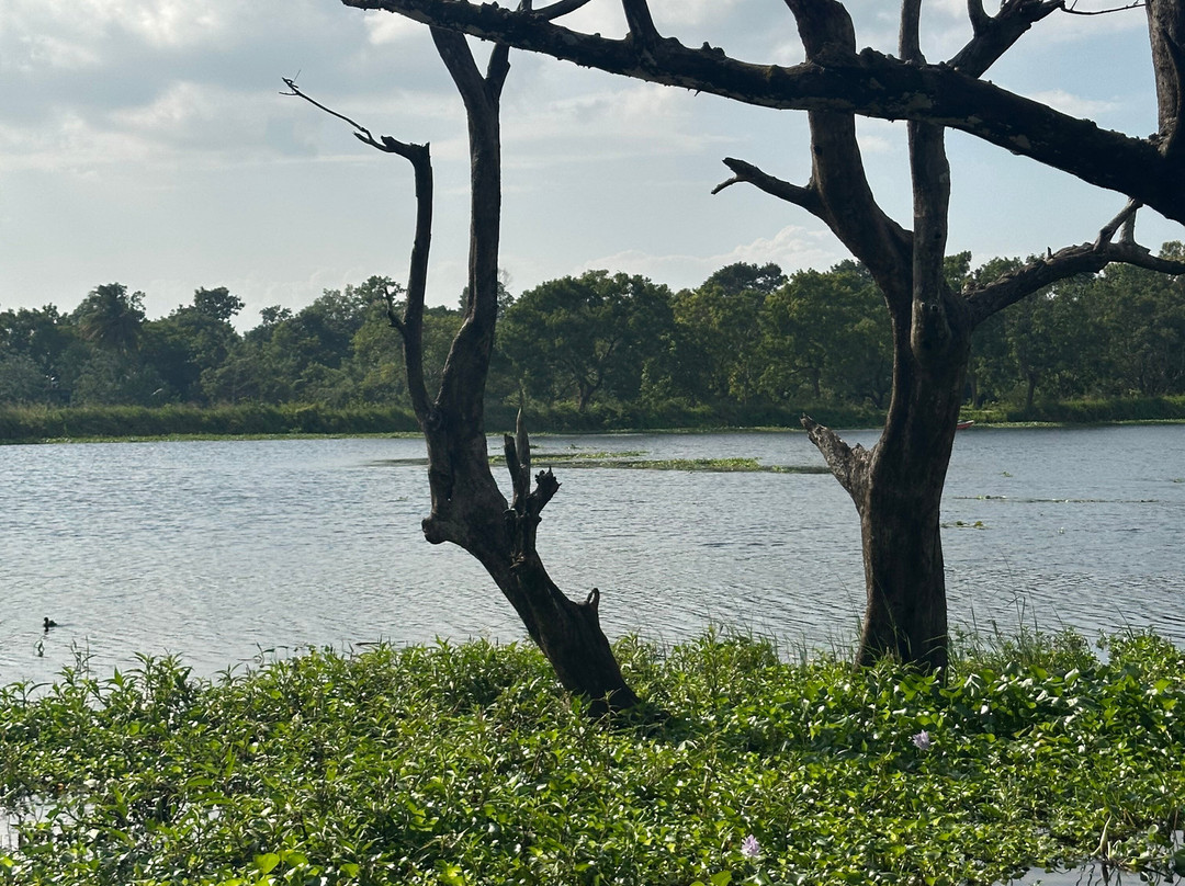 Exotic Island Tours - Private Driver Sri Lanka-Ganemulla必去景点