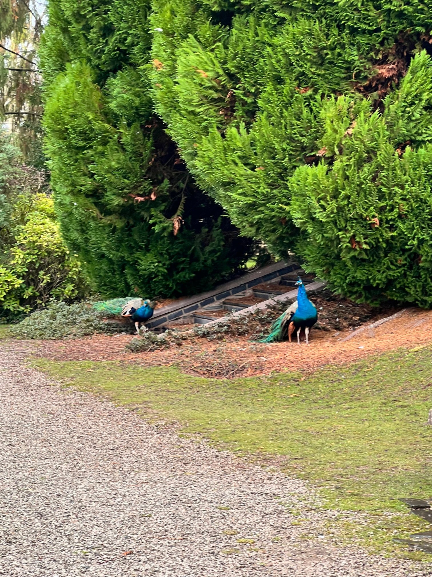 Ruthin Castle Hotel-浴室