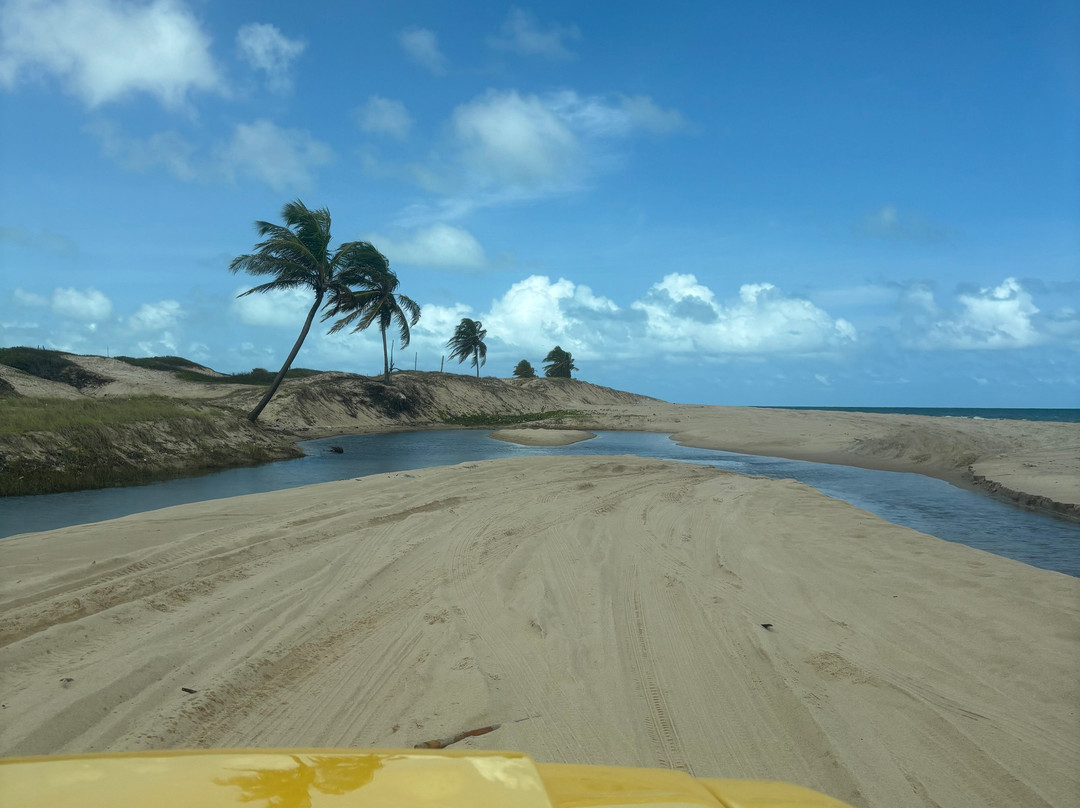 Netinho Buggy e Turismo-Genipabu必去景点