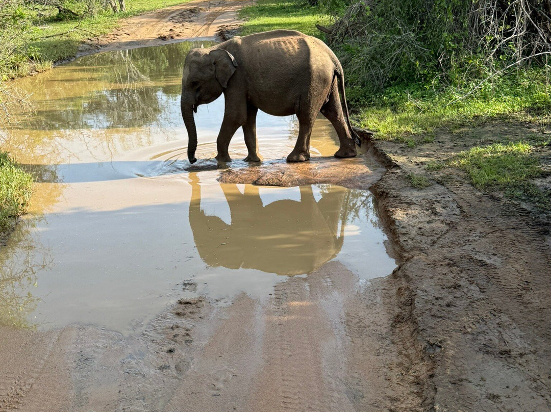 Luxurious Lanka-Ekala必去景点