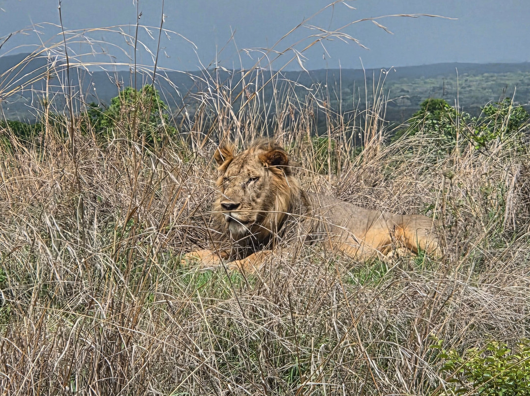 Boss Dhow-Kendwa必去景点