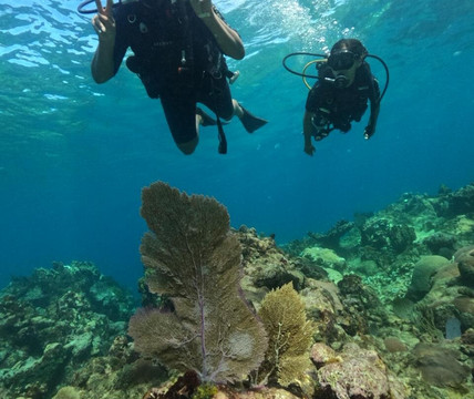 ScubaLibre Varadero-巴拉德罗必去景点