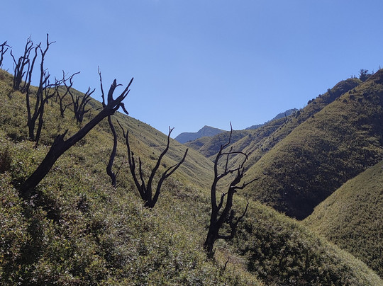 Pier Tours-Kohima必去景点