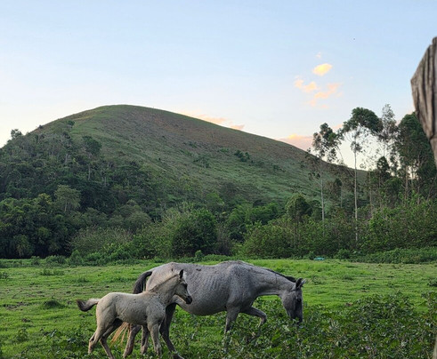 Bocaina Experience - Turismo & Cultura-Sao Jose do Barreiro必去景点