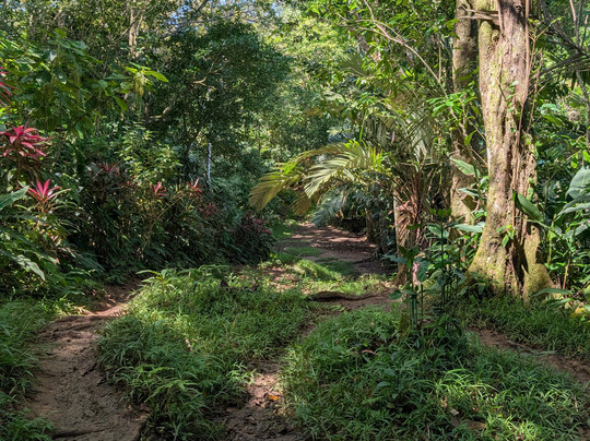 Gandoca - Manzanillo Wildlife Refuge-Province of Limon必去景点