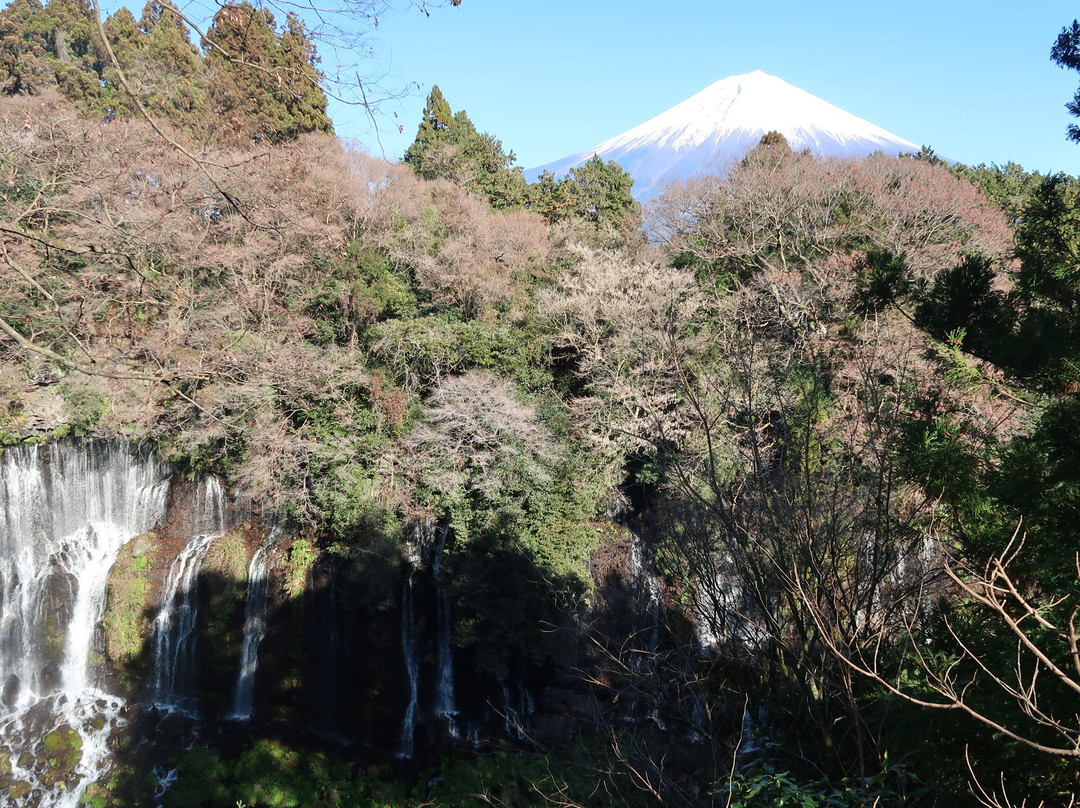 白糸瀑布-富士宫市必去景点