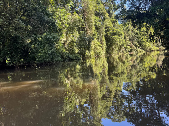 trips nativos tortuguero-托图杰多必去景点