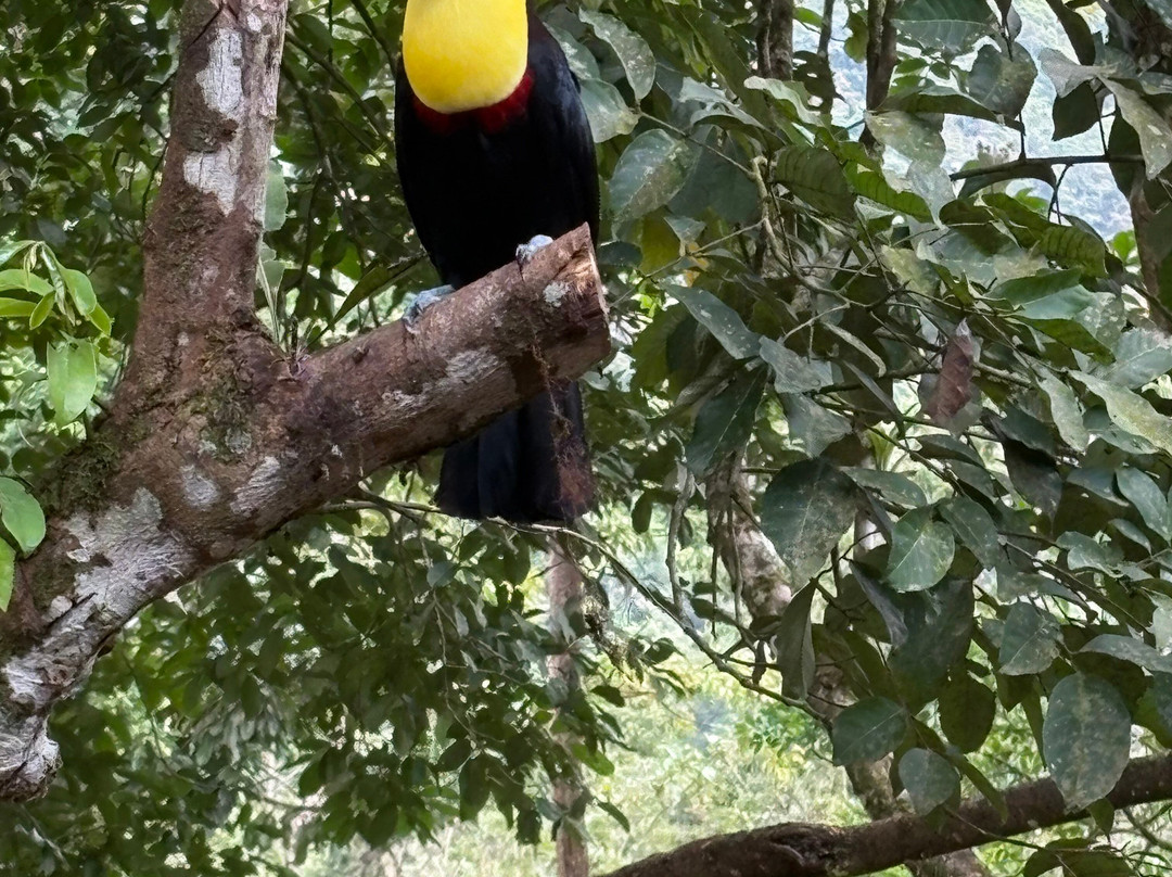 Blessing Tours-Area de Conservacion Guanacaste必去景点