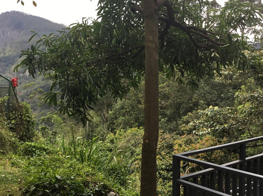 Hide-Ella Hotel & Resort主图