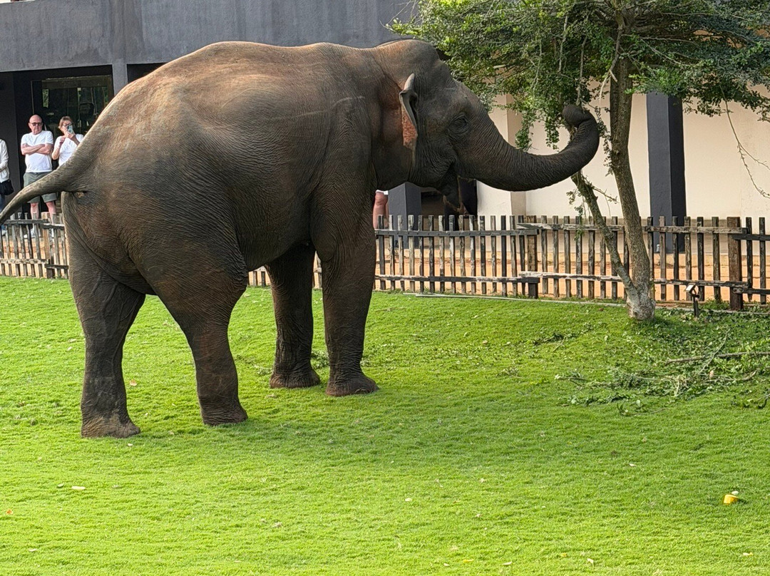 My Lanka Tours-Dunagaha必去景点