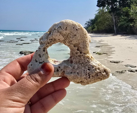 Kala Pathar Beach-哈夫洛克岛必去景点