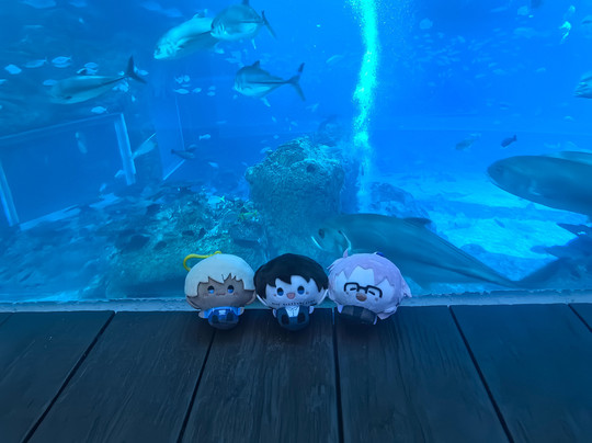 圣淘沙名胜世界海滨别墅