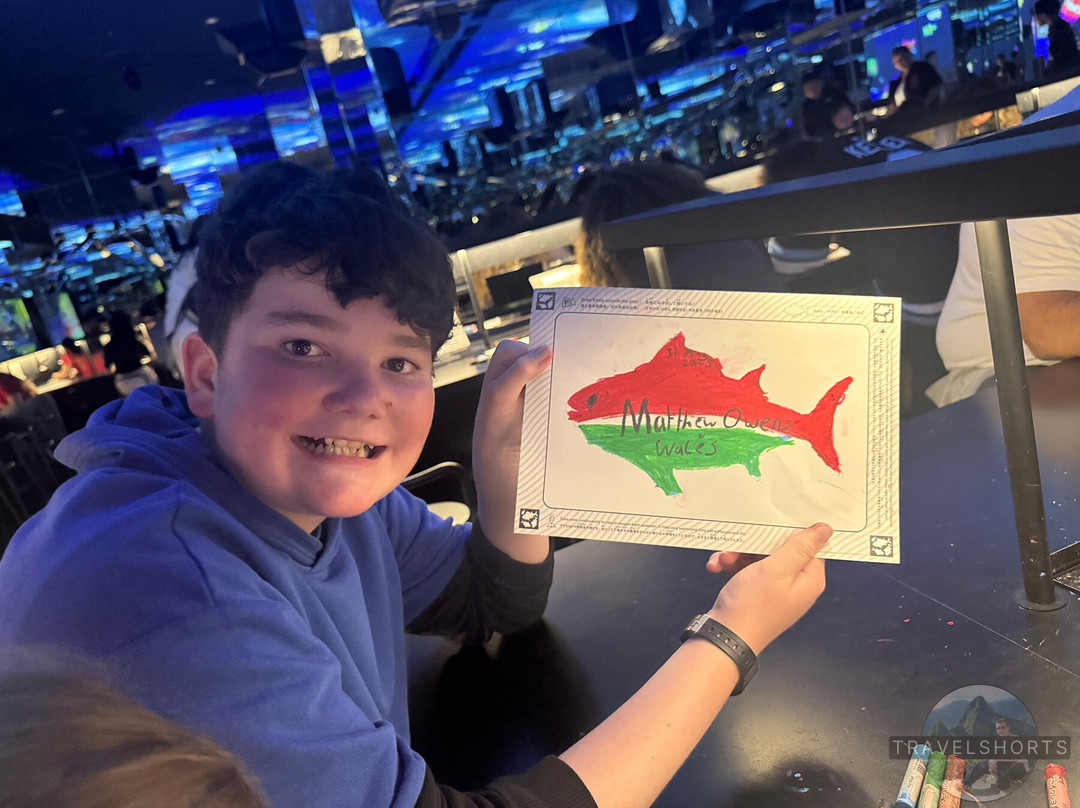 Teamlab Borderless Tokyo-港区必去景点