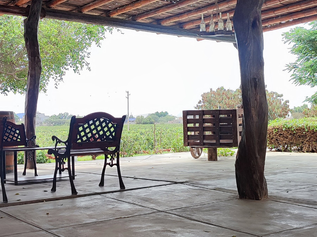 Bodegas Vista Alegre-伊卡必去景点