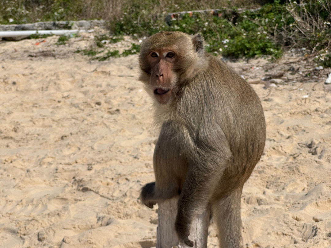 Cat Ba Gem Cruise-卡巴必去景点