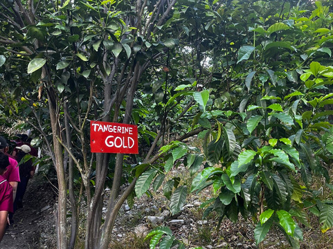 Vilcaroma Coffee-Vilcabamba必去景点