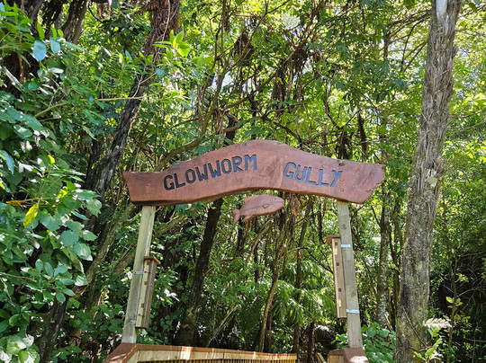 Lochmara  Marlborough Sounds-皮克顿必去景点