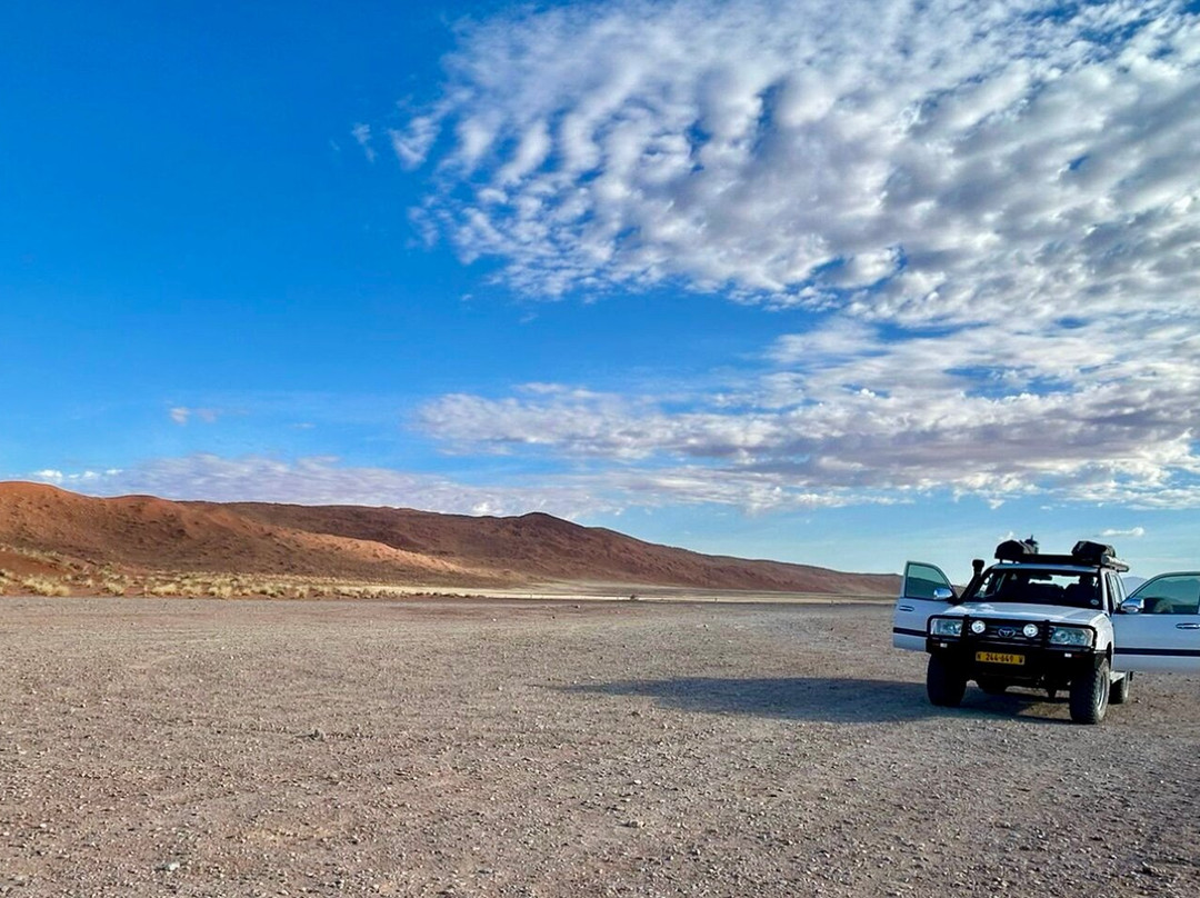 Africa's Best Adventures-开普敦必去景点