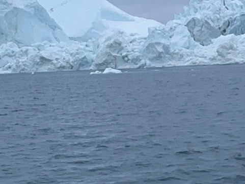 Albatros Arctic Circle Ilulissat-伊卢利萨特必去景点