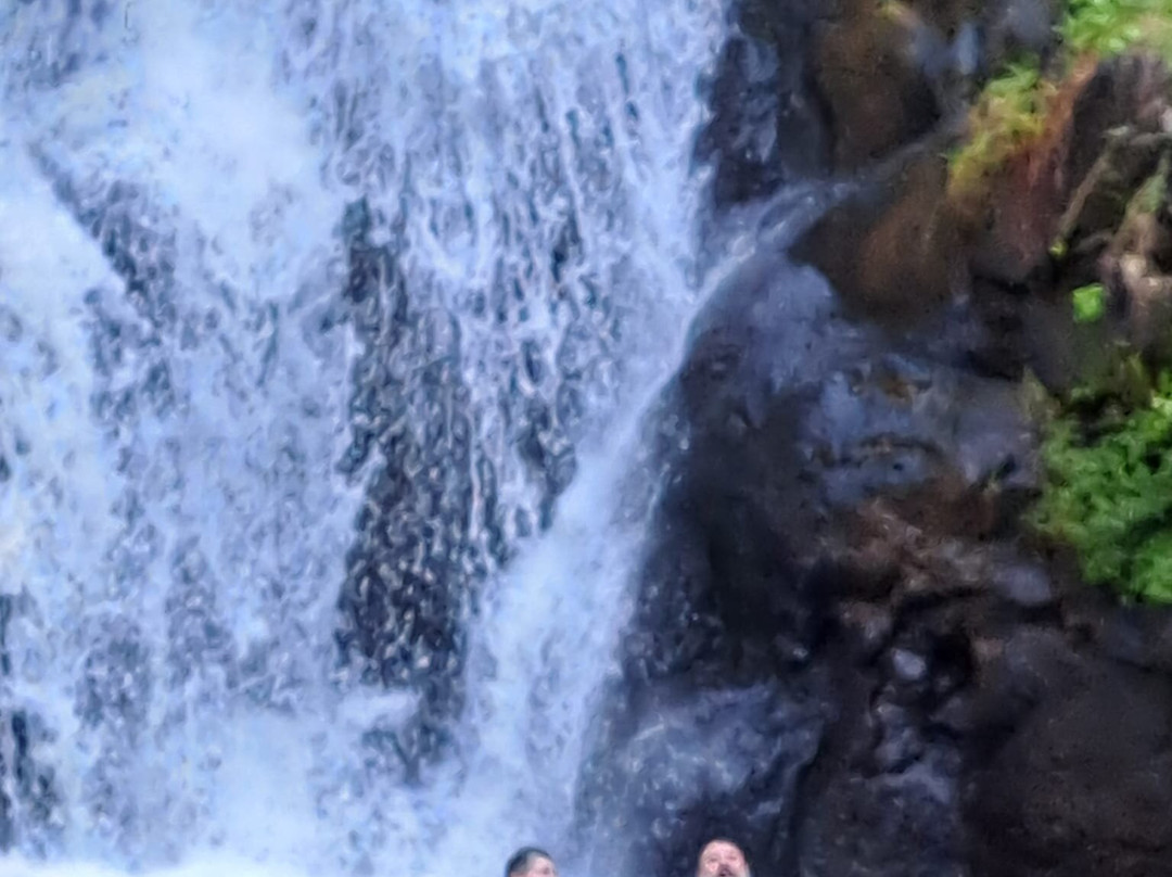 Waimea Falls-Pupukea必去景点