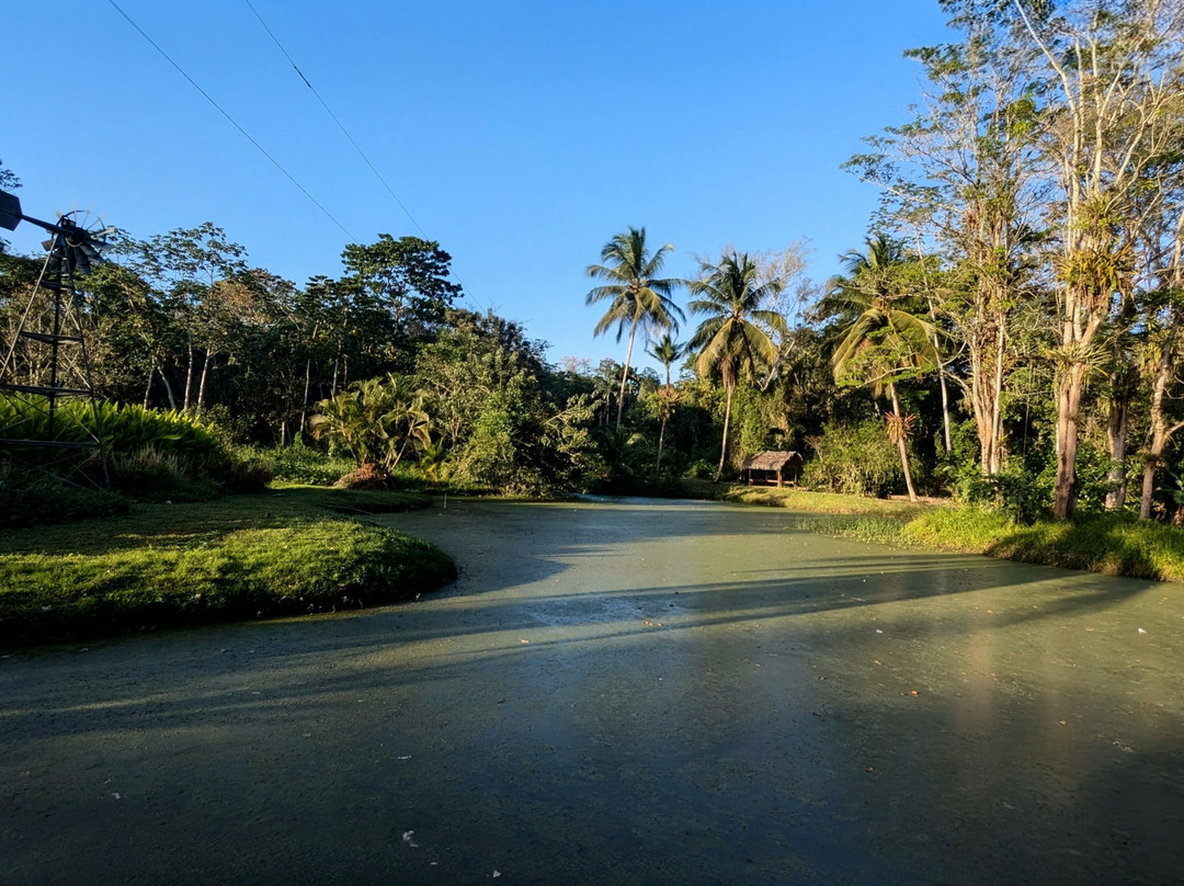 Hacienda Jacana主图