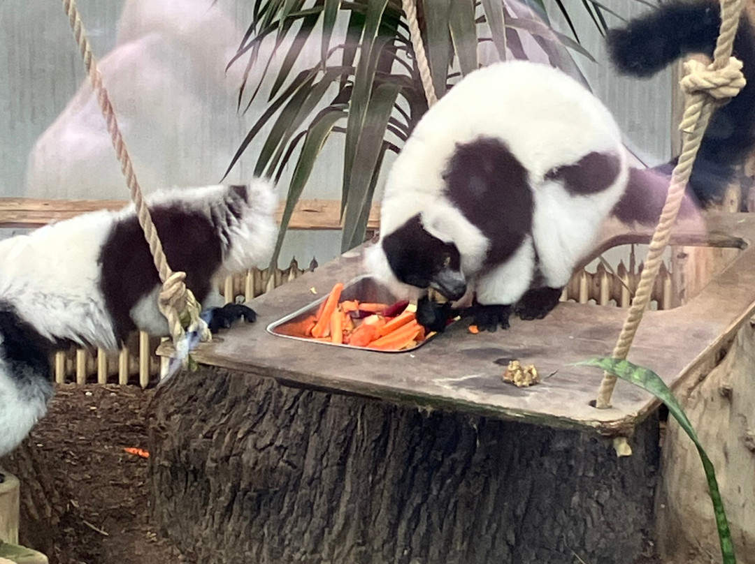 丹普木赫酒店主图