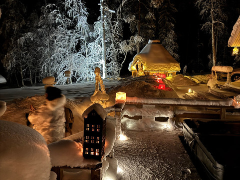 Wild Blueberry-罗瓦涅米必去景点