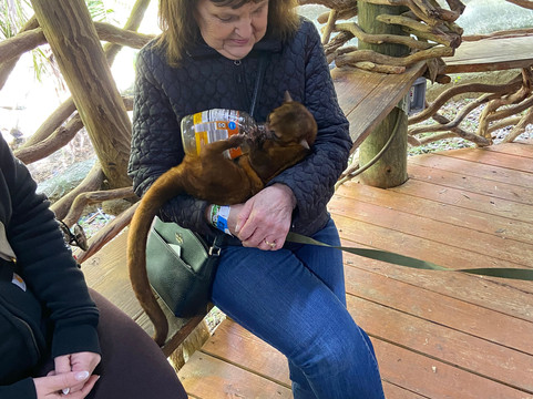 ZWF野生动物园-迈阿密必去景点