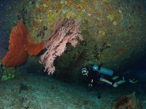 夏基潜水中心-卡伦必去景点