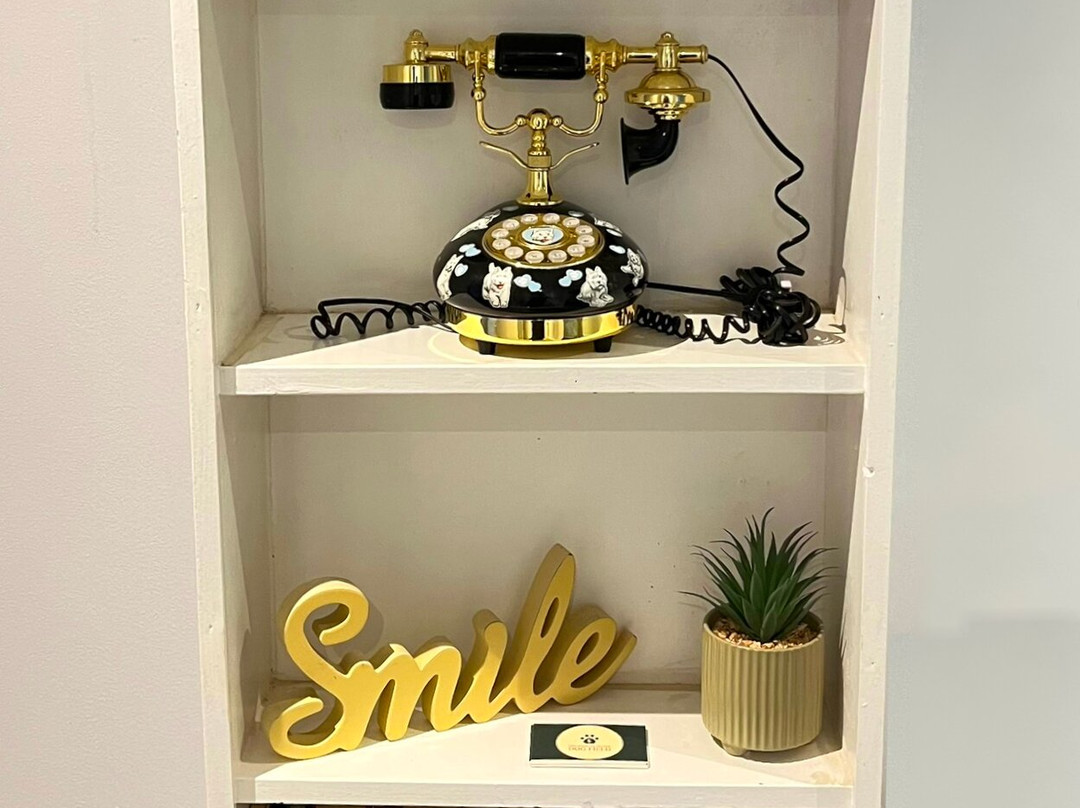 The Golden Boar主图